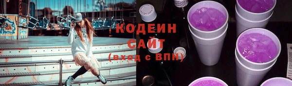 индика Нефтегорск