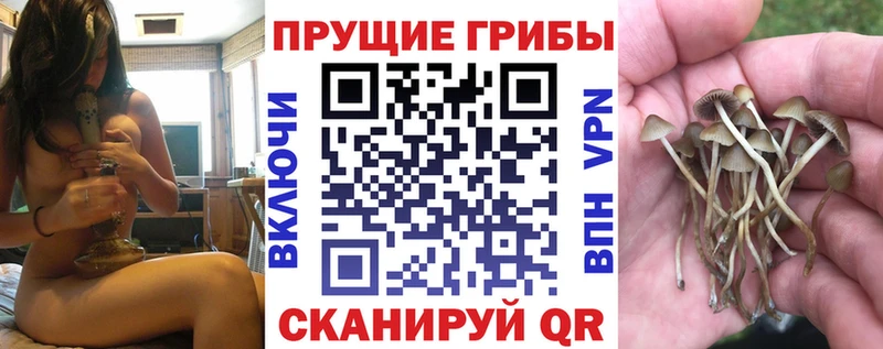 Псилоцибиновые грибы Cubensis  продажа наркотиков  нарко площадка как зайти  Рыбинск 