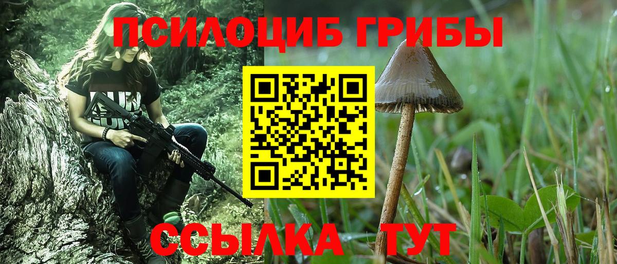 Галлюциногенные грибы мицелий Рыбинск