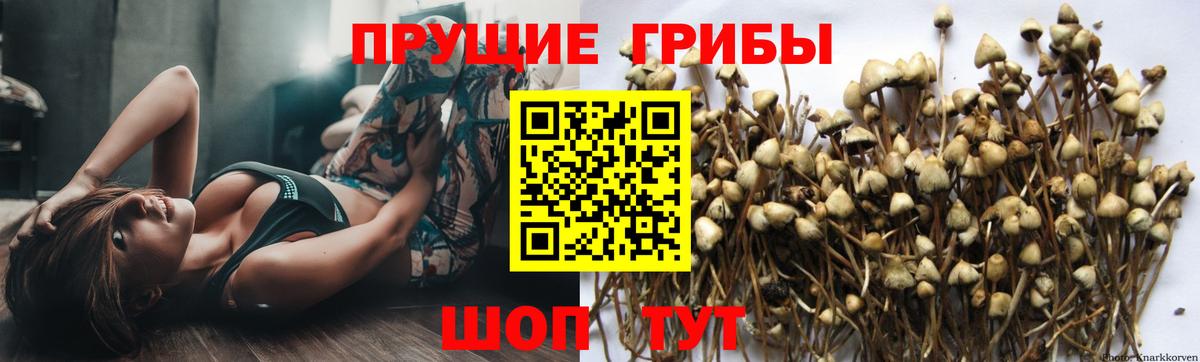Рыбинск  Псилоцибиновые грибы прущие грибы  Вход с VPN 